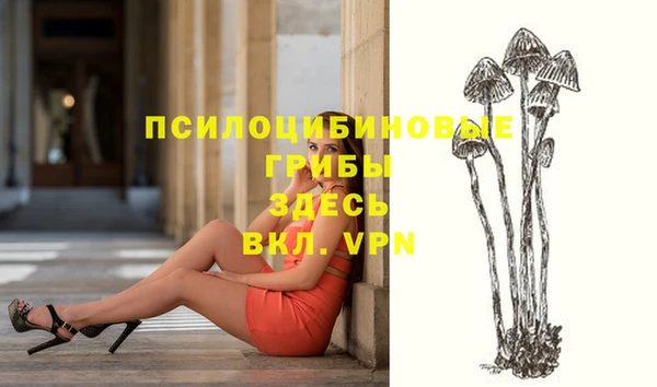 твердый Остров