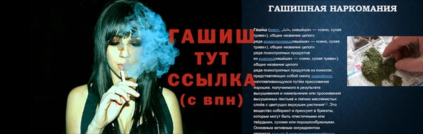гидра Осинники