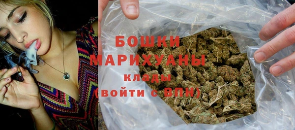 гидра Осинники