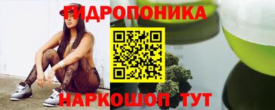 индика Будённовск