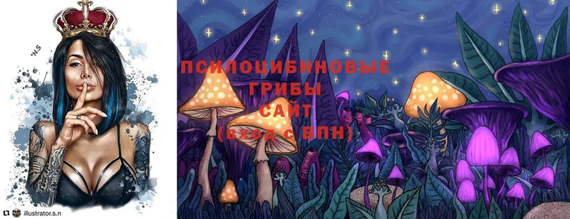 Псилоцибиновые грибы MAGIC MUSHROOMS  Грязи 