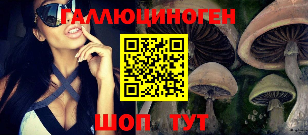 Псилоцибиновые грибы MAGIC MUSHROOMS  Вход с VPN  Грязи 