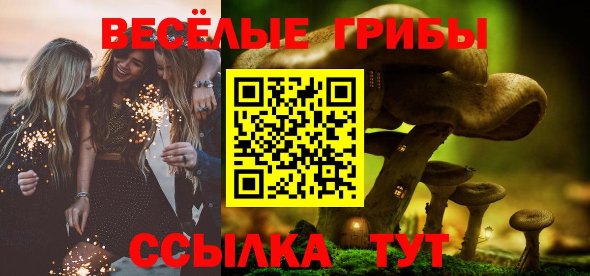 Галлюциногенные грибы Psilocybe Грязи
